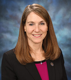 Image for: Senator Laura Fine, Illinois