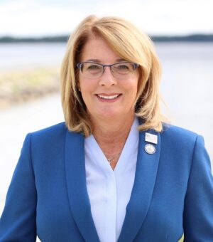 Image for: Senator Pamela Helming, New York